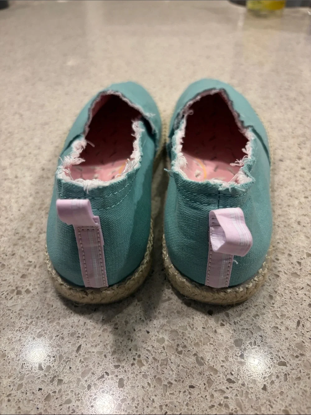 Vionic Aqua Canvas Slip-On Espadrille with Pink Lining